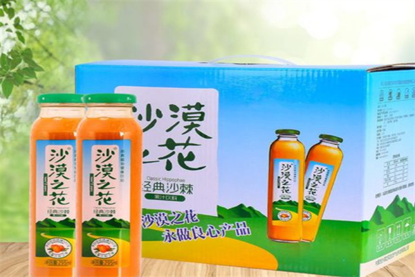 沙漠之花饮品