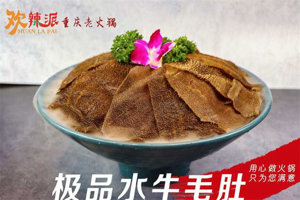 欢辣派重庆老火锅