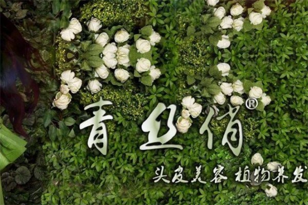 青丝俏植物养发