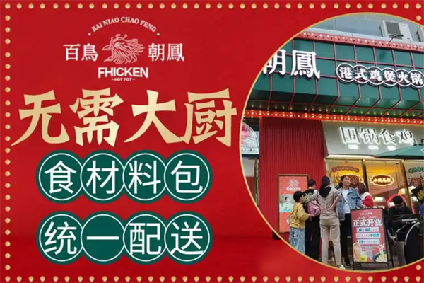 百鸟朝凤鸡煲火锅