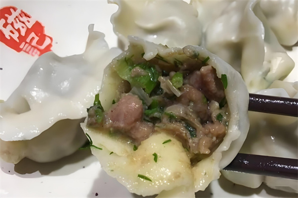 磁记饺子