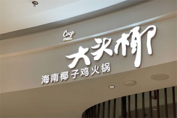大头椰椰子鸡猪肚鸡火锅 大头椰椰子鸡猪肚鸡火锅