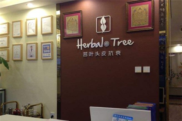 菩叶头皮抗衰投资要多少钱？加盟条件和费用是多少