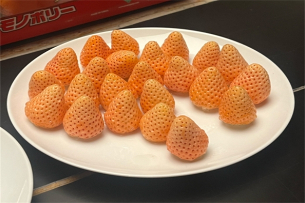舌之味休闲零食
