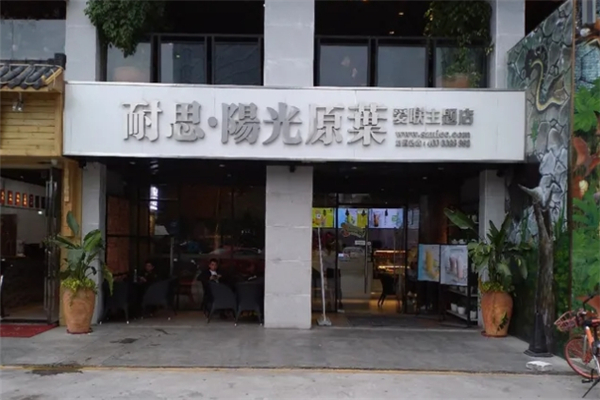 耐思阳光原叶奶茶