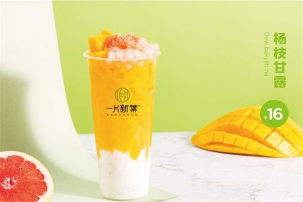一片新叶奶茶加盟 一片新叶奶茶加盟