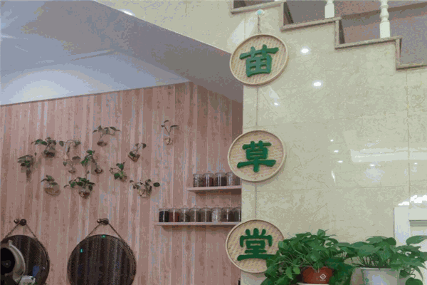 苗草堂养发馆加盟怎么样？其魅力与潜力究竟几何
