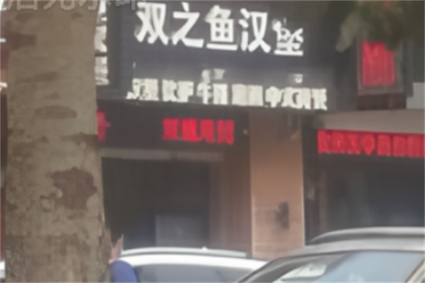 双之鱼汉堡
