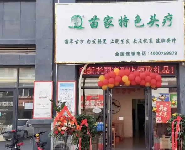 头一生苗家头疗加盟多少钱？费用分析
