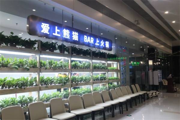 爱上熊猫火锅