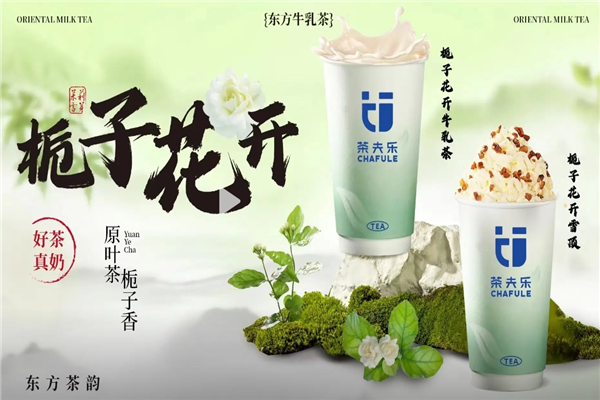 茶夫乐奶茶加盟费多少钱？加盟条件是什么