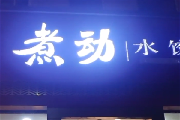 煮动水饺 煮动水饺