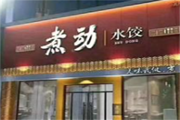 煮动水饺 煮动水饺