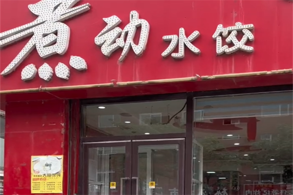 煮动水饺 煮动水饺