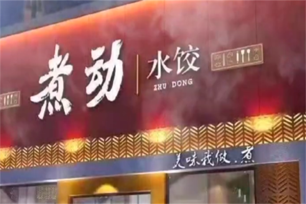 煮动水饺 煮动水饺
