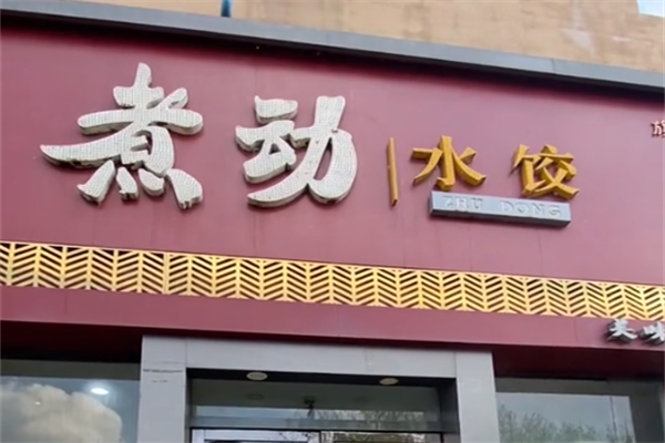煮动水饺 煮动水饺