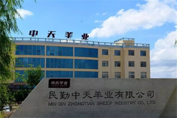 中天羊业