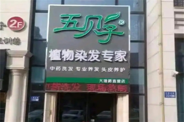 五贝子植物染发专家