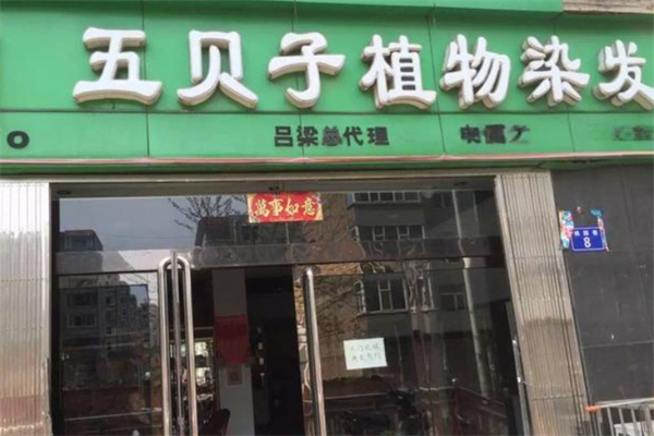 五贝子植物染发专家