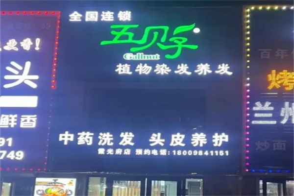 五贝子植物染发专家