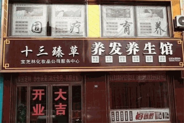 十三臻草养发养生馆