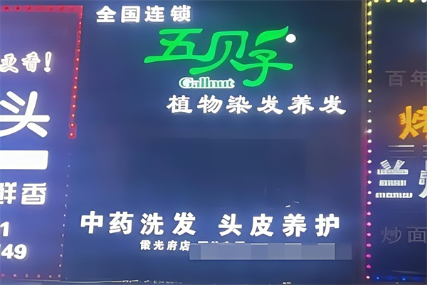 老人头五贝子