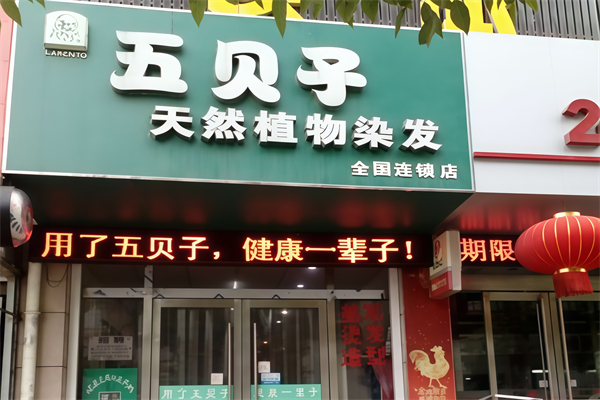 老人头五贝子