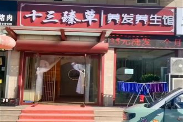 十三臻草养发养生馆