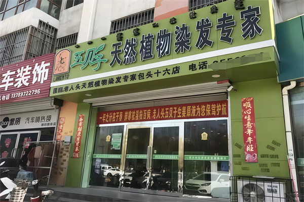 老人头五贝子