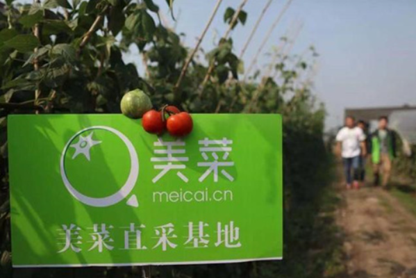 美菜城市