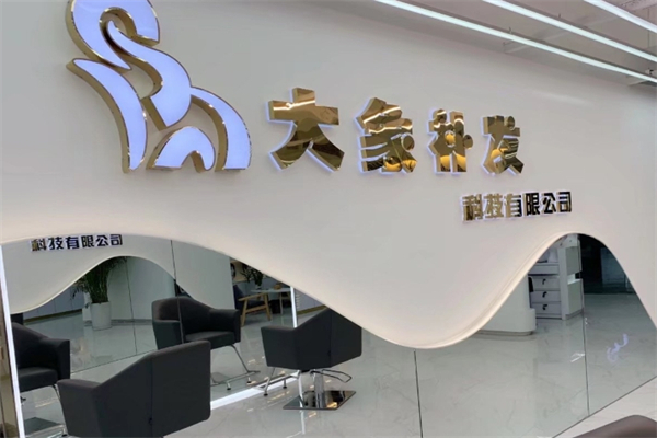 大象补发