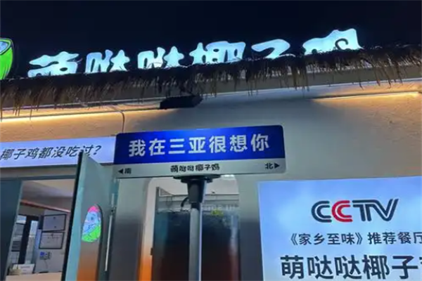 萌哒哒椰子鸡