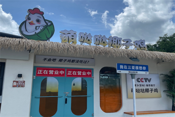 萌哒哒椰子鸡
