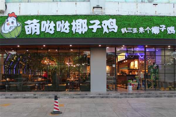 萌哒哒椰子鸡