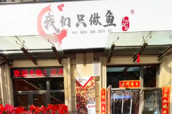 我们只做鱼