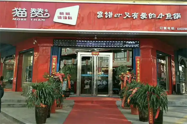 猫赞钵钵鱼