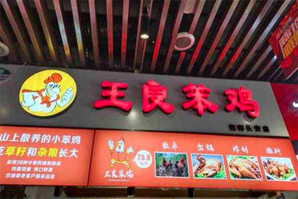 王良笨鸡