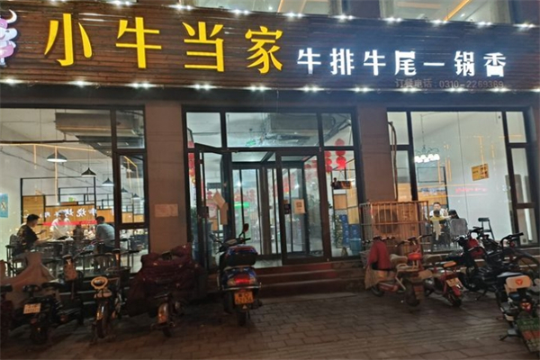牛牛小牛当家牛排牛尾一锅香