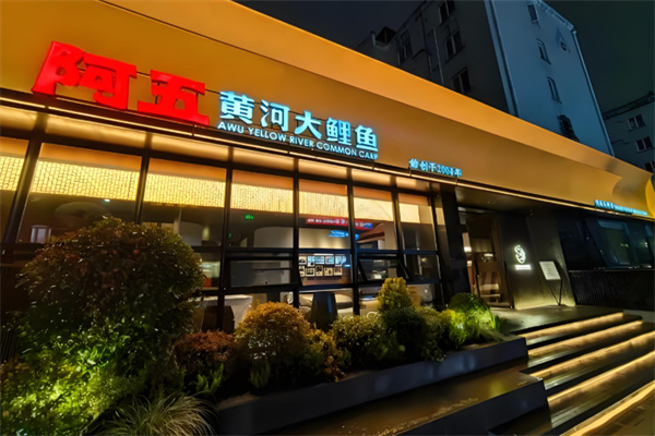 阿五黄河大鲤鱼 阿五黄河大鲤鱼