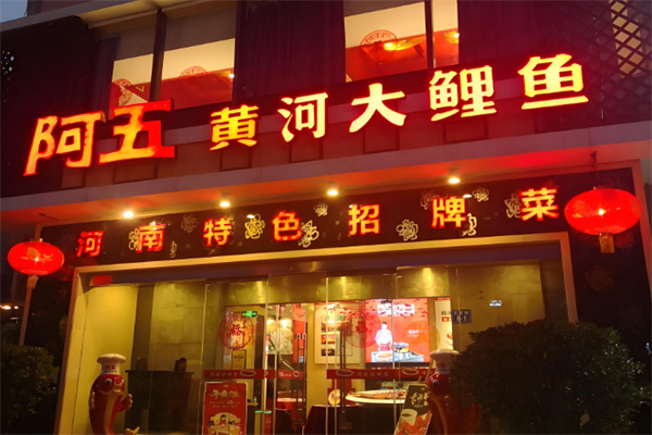 阿五黄河大鲤鱼 阿五黄河大鲤鱼