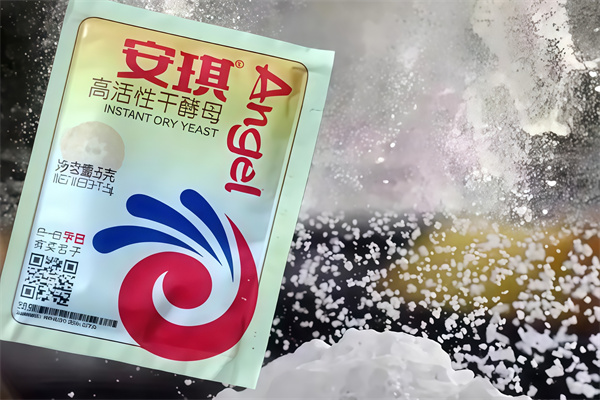 安琪酵母调料