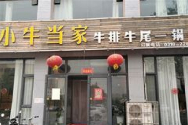 牛牛小牛当家牛排牛尾一锅香