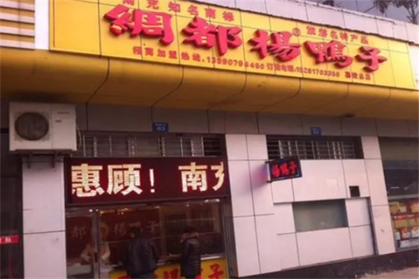 绸都杨鸭子