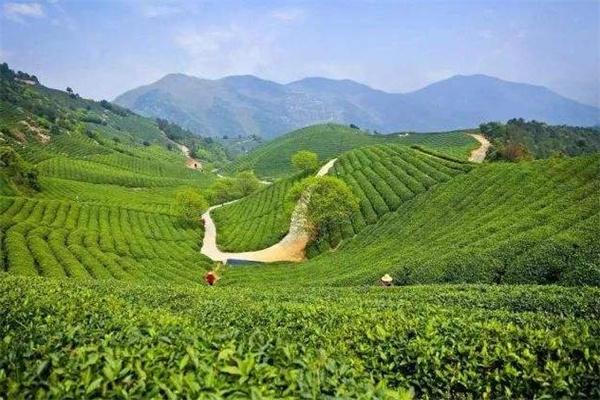 弘苑茶会馆