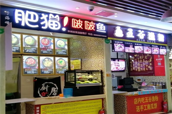 肥猫啵啵鱼