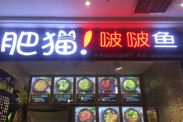 肥猫啵啵鱼
