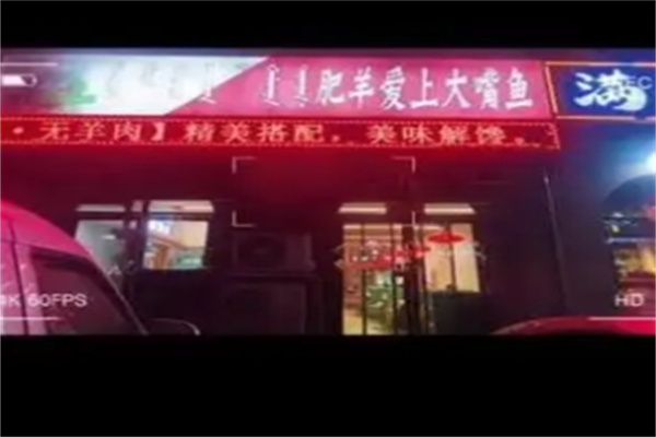 肥羊爱上大嘴鱼