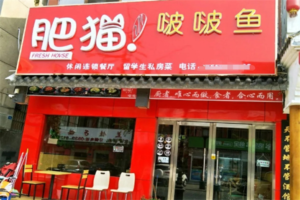肥猫啵啵鱼