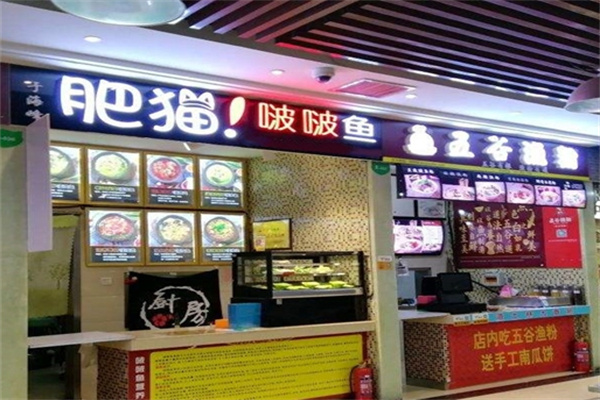 肥猫啵啵鱼