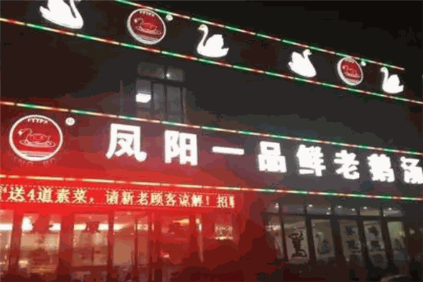 凤阳一品鲜老鹅汤